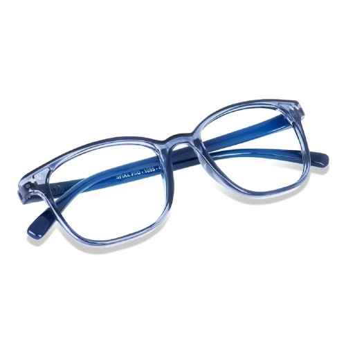 Bluegaurd Glasses